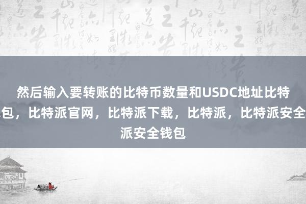 然后输入要转账的比特币数量和USDC地址比特派钱包，比特派官网，比特派下载，比特派，比特派安全钱包