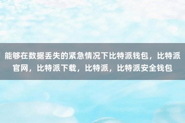 能够在数据丢失的紧急情况下比特派钱包，比特派官网，比特派下载，比特派，比特派安全钱包