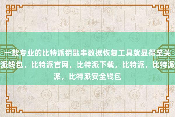 一款专业的比特派钥匙串数据恢复工具就显得至关重要比特派钱包，比特派官网，比特派下载，比特派，比特派安全钱包