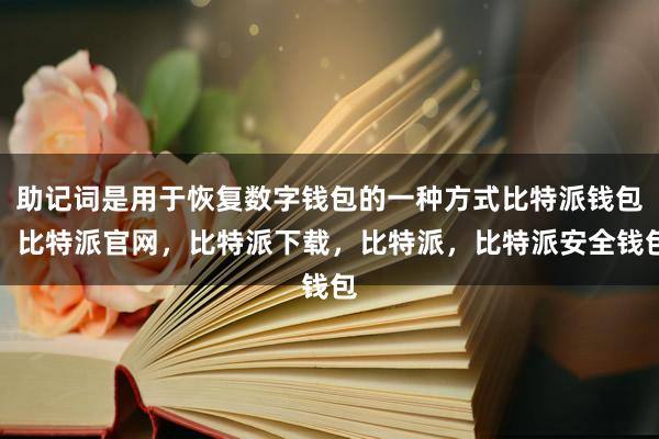 助记词是用于恢复数字钱包的一种方式比特派钱包，比特派官网，比特派下载，比特派，比特派安全钱包