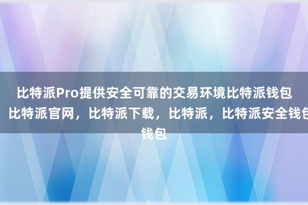 比特派Pro提供安全可靠的交易环境比特派钱包，比特派官网，比特派下载，比特派，比特派安全钱包