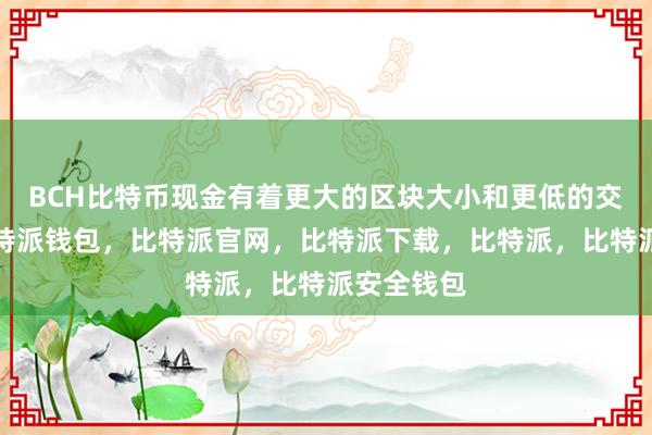 BCH比特币现金有着更大的区块大小和更低的交易费用比特派钱包，比特派官网，比特派下载，比特派，比特派安全钱包