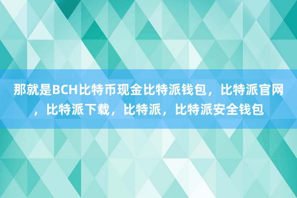 那就是BCH比特币现金比特派钱包，比特派官网，比特派下载，比特派，比特派安全钱包