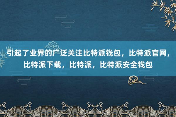 引起了业界的广泛关注比特派钱包，比特派官网，比特派下载，比特派，比特派安全钱包