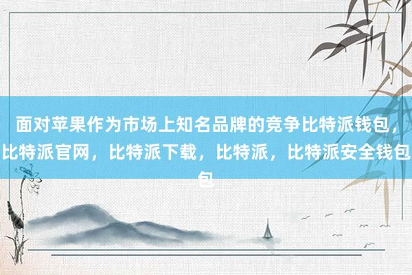 面对苹果作为市场上知名品牌的竞争比特派钱包，比特派官网，比特派下载，比特派，比特派安全钱包