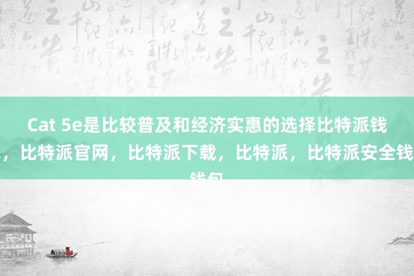 Cat 5e是比较普及和经济实惠的选择比特派钱包，比特派官网，比特派下载，比特派，比特派安全钱包