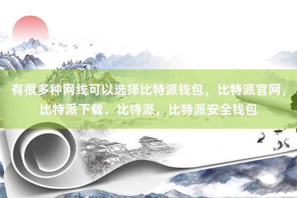 有很多种网线可以选择比特派钱包，比特派官网，比特派下载，比特派，比特派安全钱包