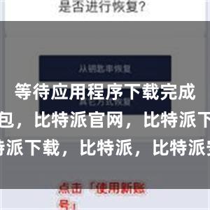 等待应用程序下载完成比特派钱包，比特派官网，比特派下载，比特派，比特派安全钱包