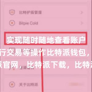 实现随时随地查看账户余额、进行交易等操作比特派钱包，比特派官网，比特派下载，比特派，比特派安全钱包