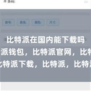 比特派在国内能下载吗另外比特派钱包，比特派官网，比特派下载，比特派，比特派安全钱包