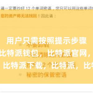 用户只需按照提示步骤进行设置比特派钱包，比特派官网，比特派下载，比特派，比特派安全钱包